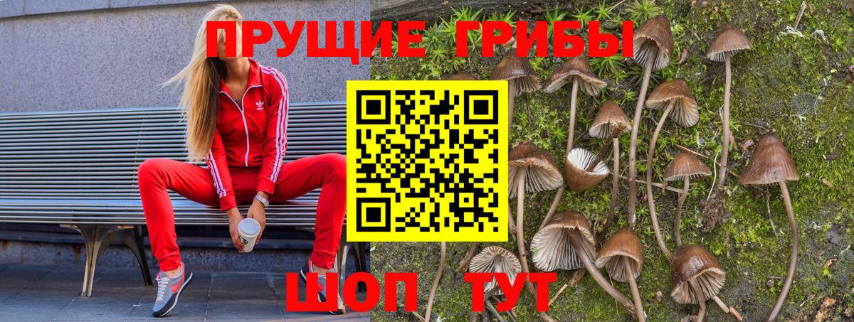 Кузнецк  Псилоцибиновые грибы ЛСД  Вход с VPN 